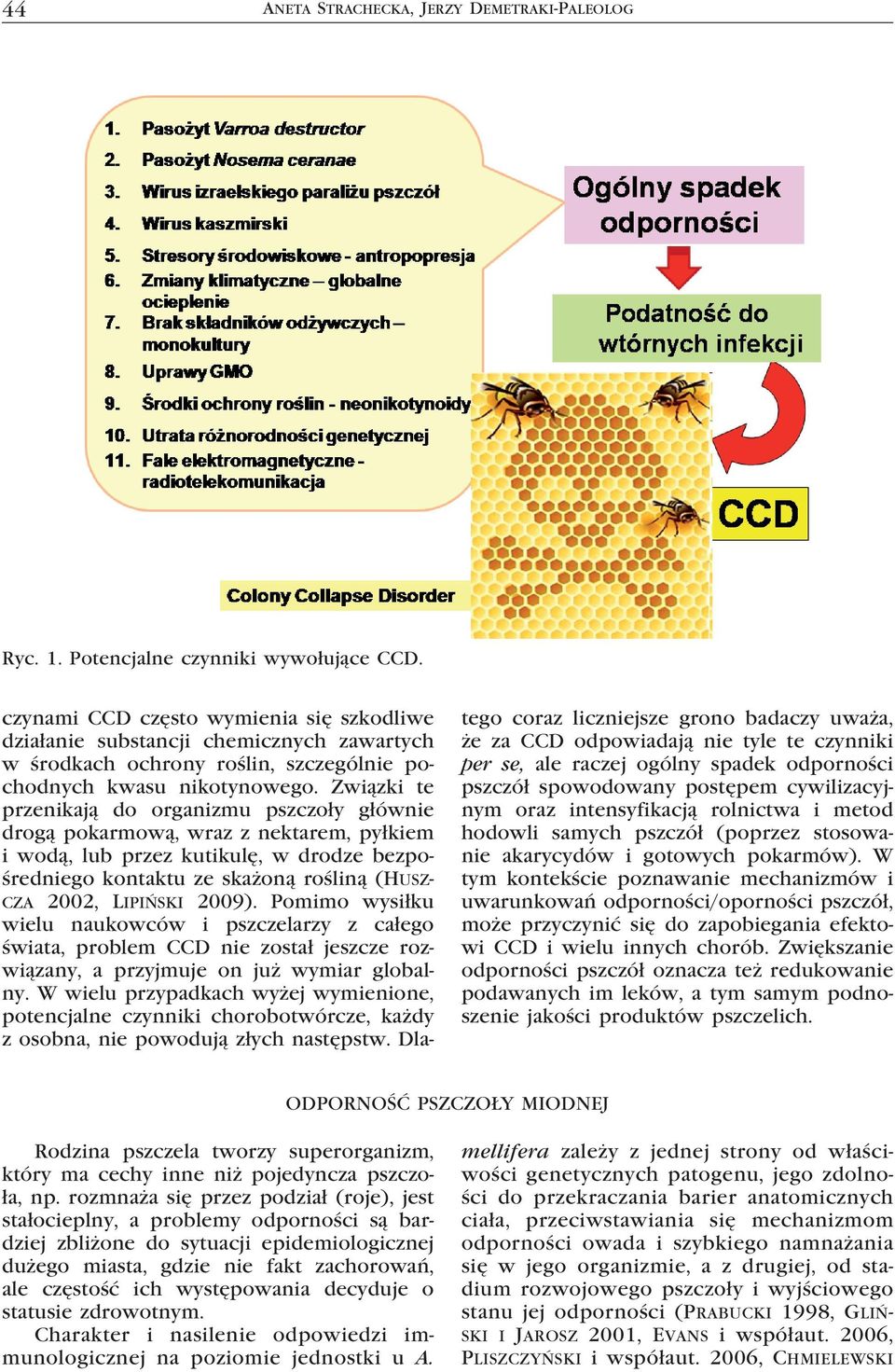 Związki te przenikają do organizmu pszczoły głównie drogą pokarmową, wraz z nektarem, pyłkiem i wodą, lub przez kutikulę, w drodze bezpośredniego kontaktu ze skażoną rośliną (Huszcza 2002, Lipiński