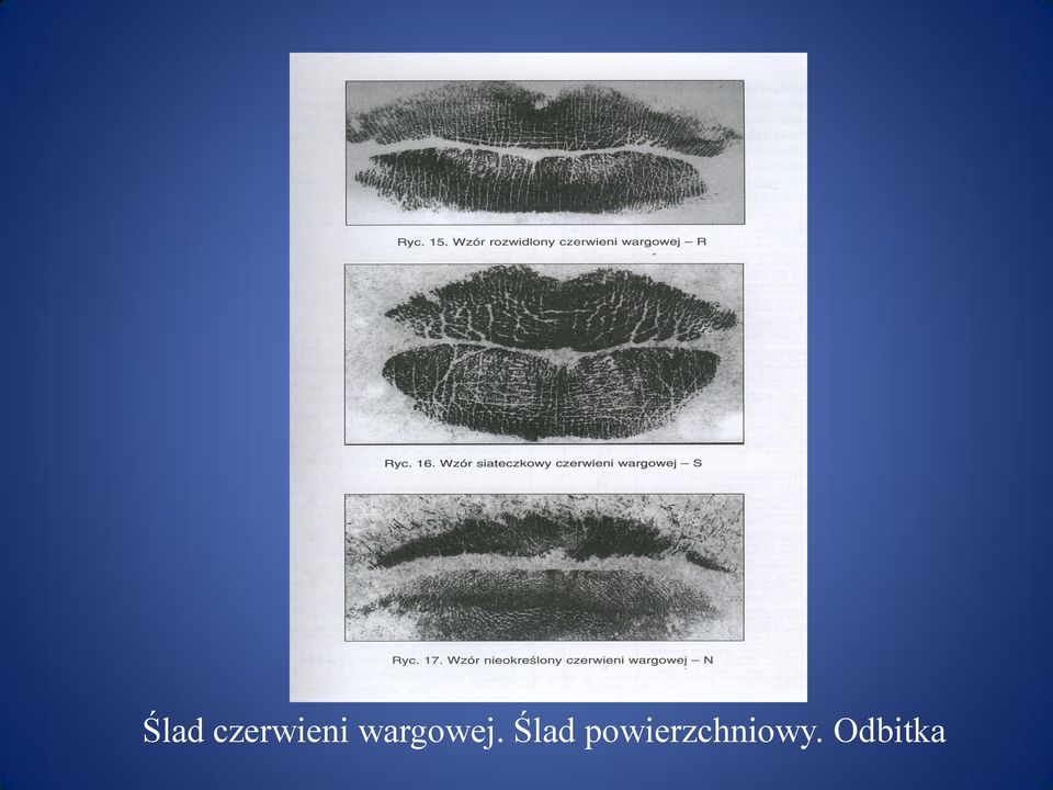 wargowej.