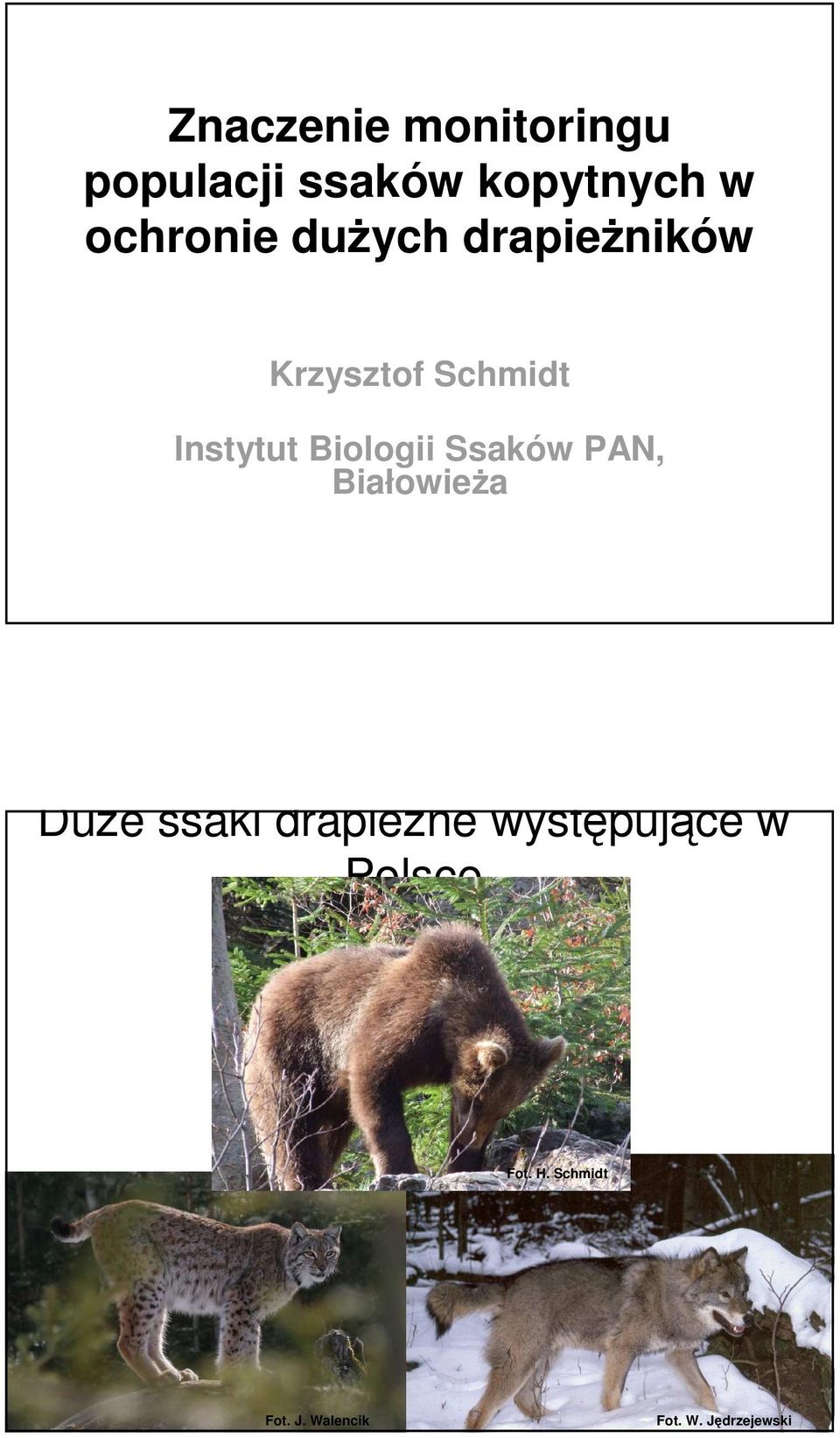 Instytut Biologii Ssaków PAN, Białowieża Duże ssaki