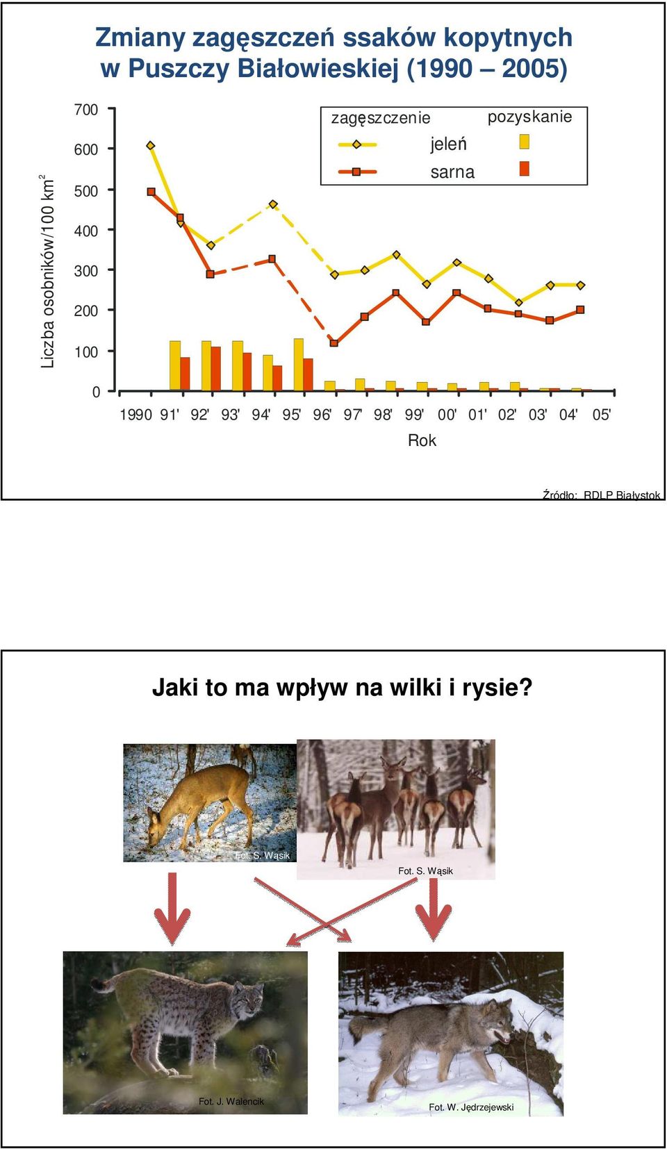 92' 93' 94' 95' 96' 97' 98' 99' ' 1' 2' 3' 4' 5' Rok Źródło: RDLP Białystok