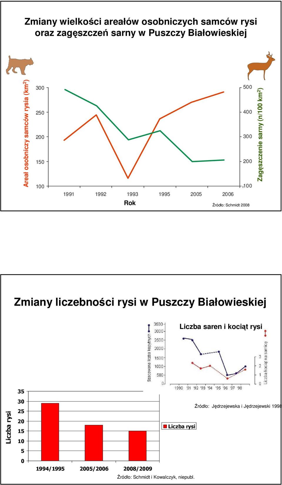 Schmidt 28 Zmiany liczebności rysi w Puszczy Białowieskiej Liczba saren i kociąt rysi 35 Liczba rysi 3 25 2 15 1