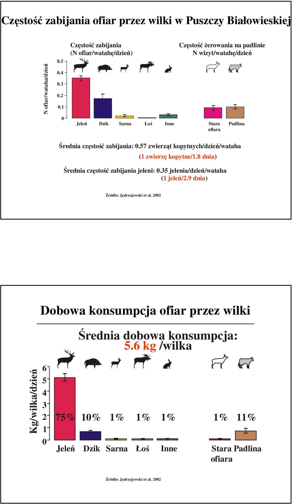 zabijania:.57 zwierząt kopytnych/dzień/wataha (1 zwierzę kopytne/1.8 dnia) Średnia częstość zabijania jeleni:.35 jelenia/dzień/wataha (1 jeleń/2.