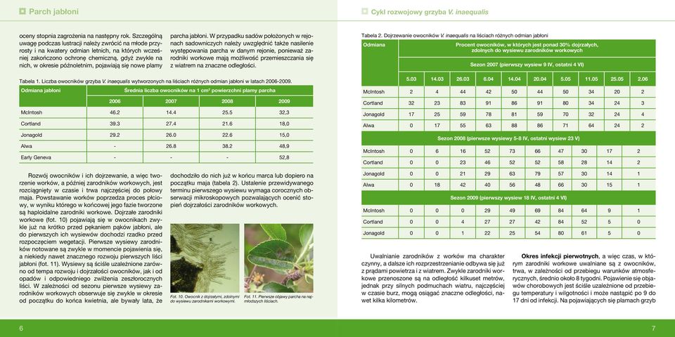 pojawiają się nowe plamy parcha jabłoni.