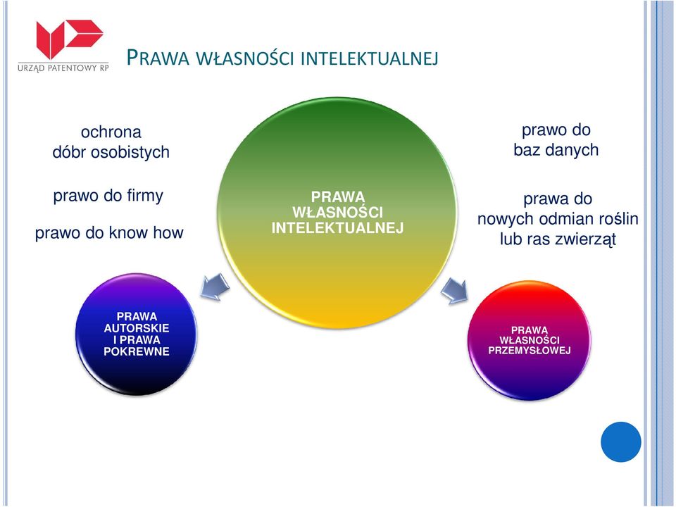 WŁASNOŚCI INTELEKTUALNEJ prawa do nowych odmian roślin lub