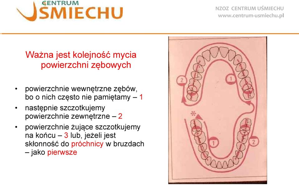 szczotkujemy powierzchnie zewnętrzne 2 powierzchnie żujące