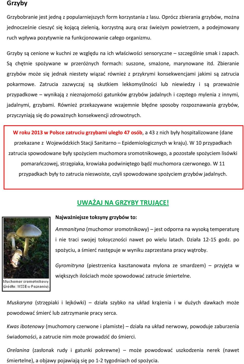 Grzyby są cenione w kuchni ze względu na ich właściwości sensoryczne szczególnie smak i zapach. Są chętnie spożywane w przeróżnych formach: suszone, smażone, marynowane itd.