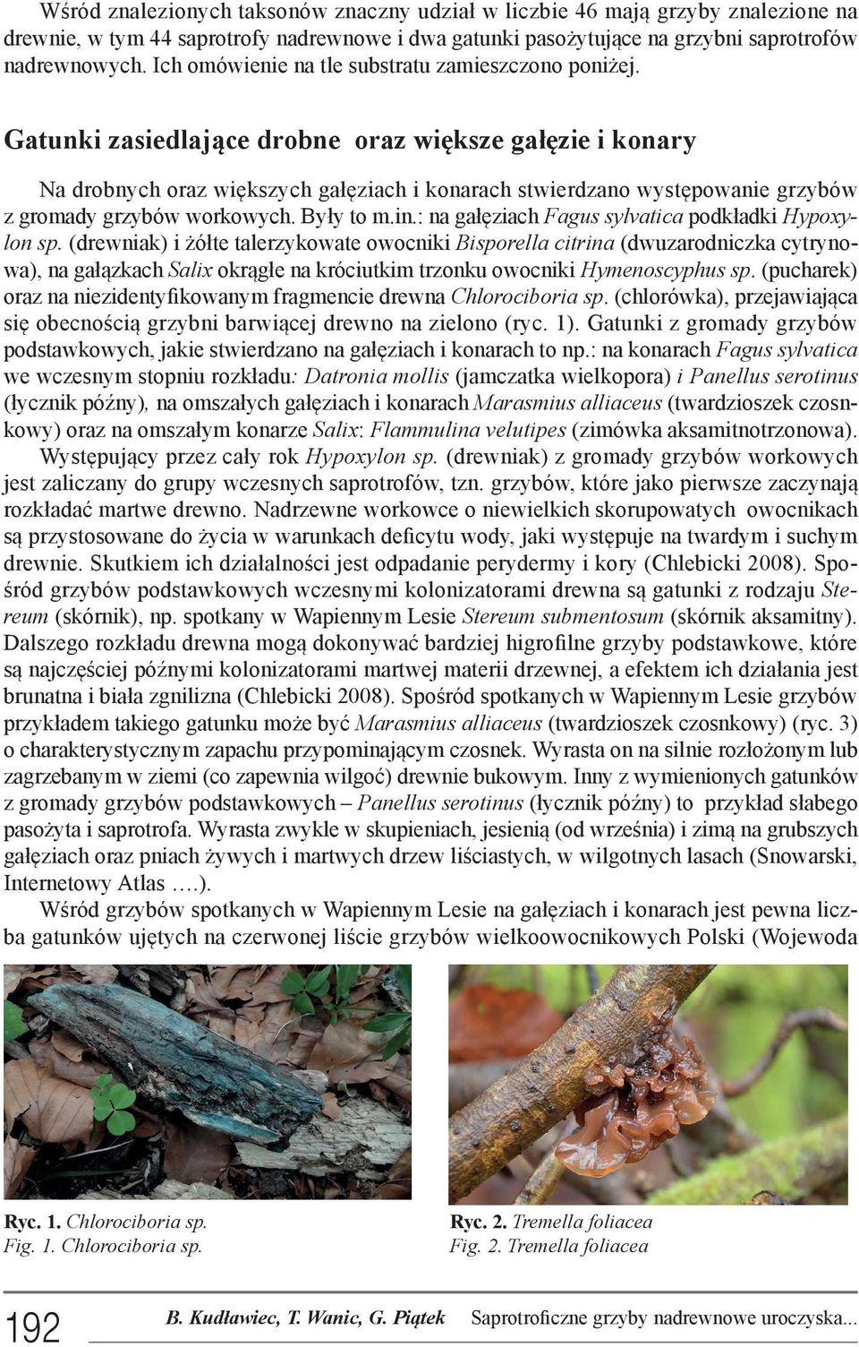 Gatunki zasiedlające drobne oraz większe gałęzie i konary Na drobnych oraz większych gałęziach i konarach stwierdzano występowanie grzybów z gromady grzybów workowych. Były to m.in.