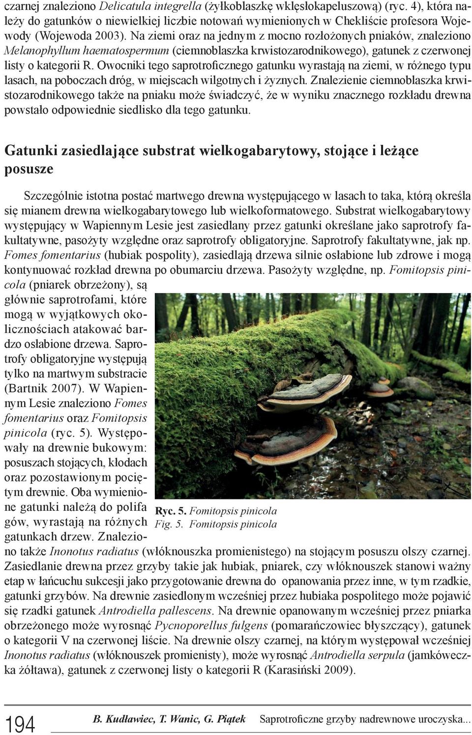 Na ziemi oraz na jednym z mocno rozłożonych pniaków, znaleziono Melanophyllum haematospermum (ciemnoblaszka krwistozarodnikowego), gatunek z czerwonej listy o kategorii R.