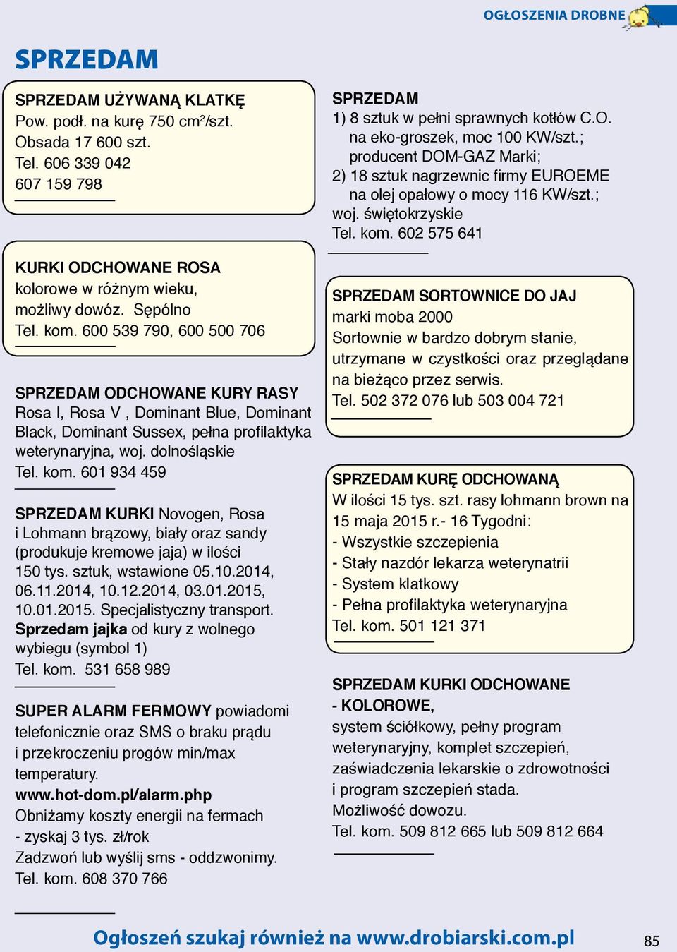 601 934 459 KURKI Novogen, Rosa i Lohmann brązowy, biały oraz sandy (produkuje kremowe jaja) w ilości 150 tys. sztuk, wstawione 05.10.2014, 06.11.2014, 10.12.2014, 03.01.2015,