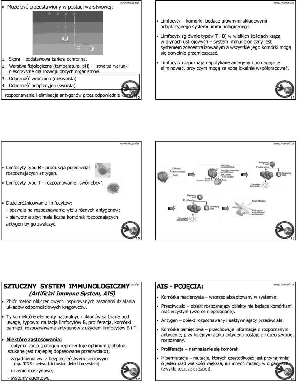 Odporność adaptacyjna (swoista) rozpoznawanie i eliminacja antygenów w przez odpowiednie komórki 3 Limfocyty (głównie typów T i ) ) w wielkich ilościach krążą w płynach p ustrojowych system