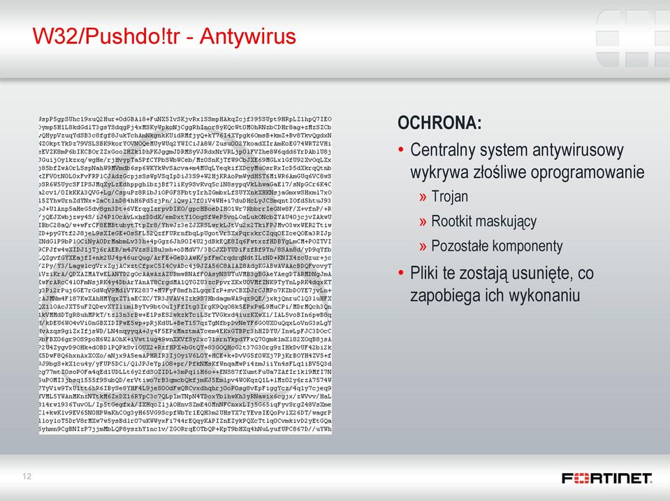 antywirusowy wykrywa złośliwe oprogramowanie»