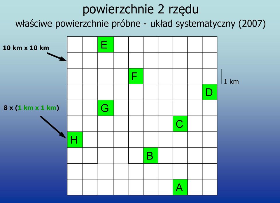 systematyczny (2007) 10 km x 10