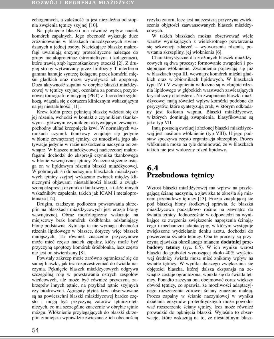 Naciekające blaszkę makrofagi uwalniają enzymy proteolityczne należące do grupy metaloproteinaz (stromielizyna i kolagenaza), które trawią zrąb łącznotkankowy otoczki [2].