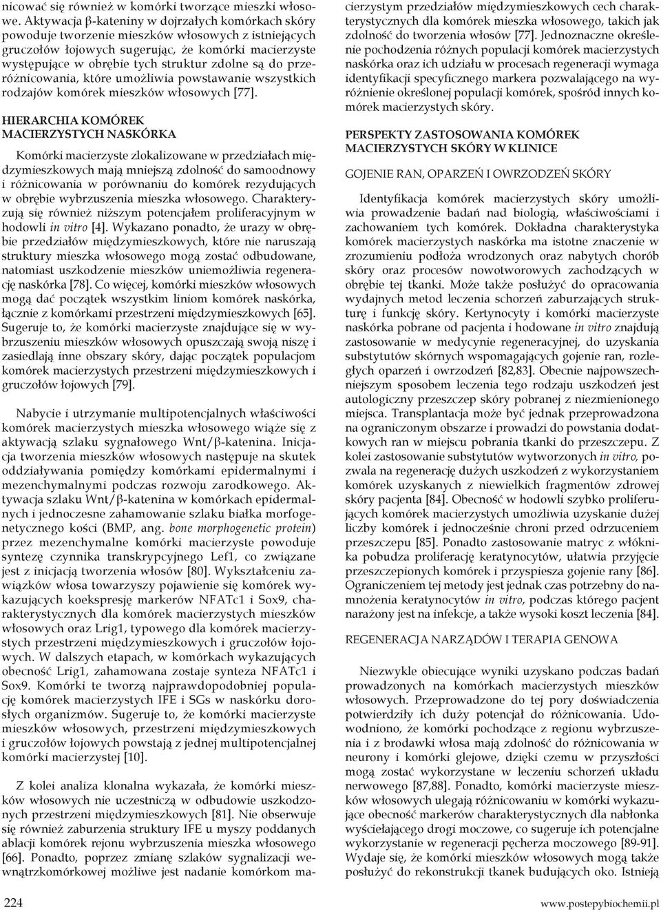 są do przeróżnicowania, które umożliwia powstawanie wszystkich rodzajów komórek mieszków włosowych [77].