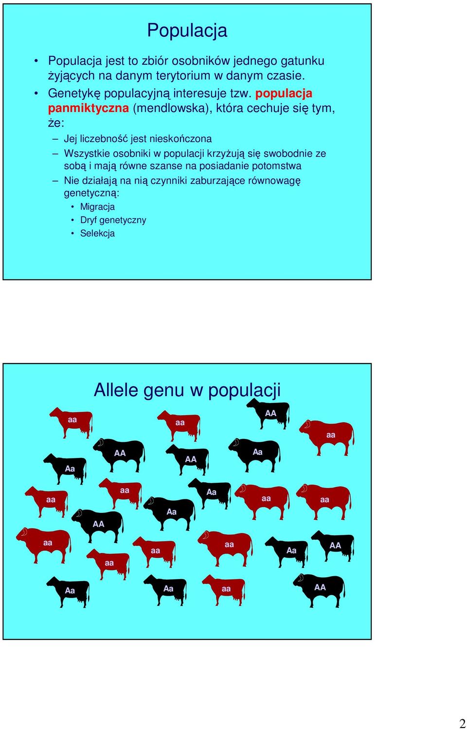 populacja panmiktyczna (mendlowska), która cechuje się tym, że: Jej liczebność jest nieskończona Wszystkie osobniki