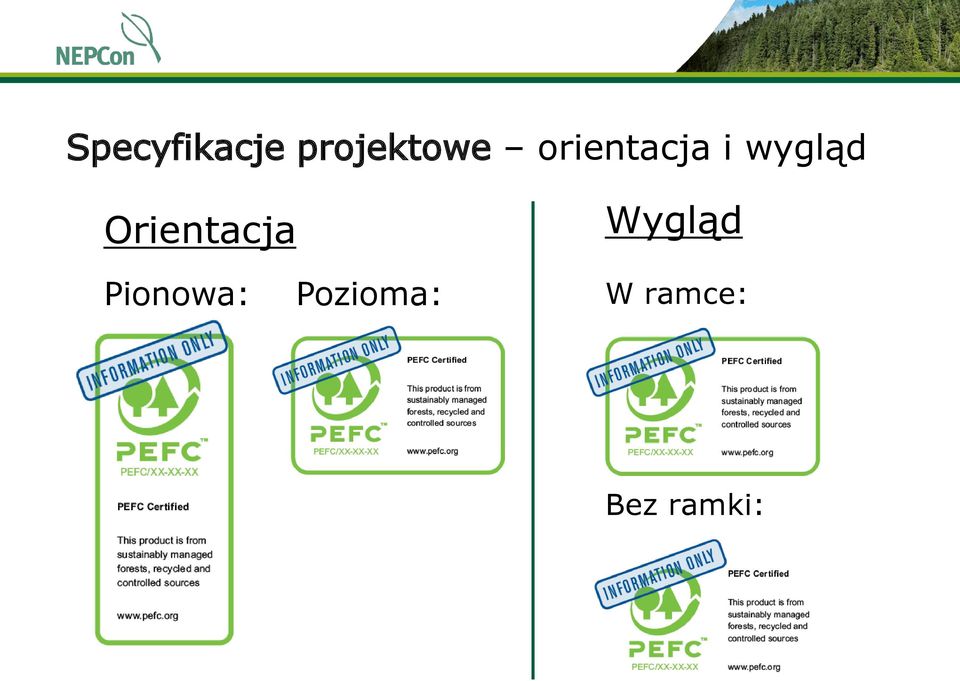 Orientacja Wygląd