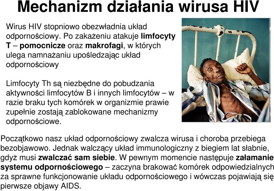 innych limfocytów w razie braku tych komórek w organizmie prawie zupełnie zostają zablokowane mechanizmy odpornościowe.