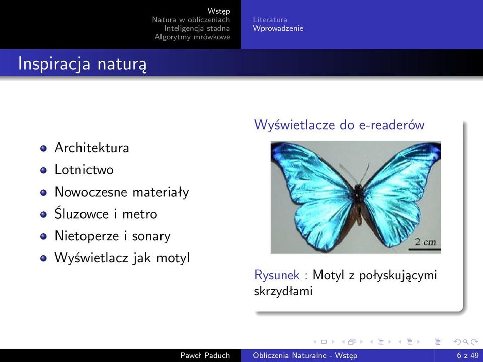 Wyświetlacz jak motyl Wyświetlacze do e-readerów Rysunek : Motyl