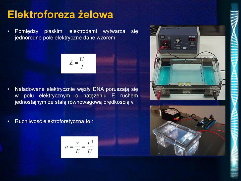 węzły DNA poruszają się w polu elektrycznym o natężeniu E ruchem