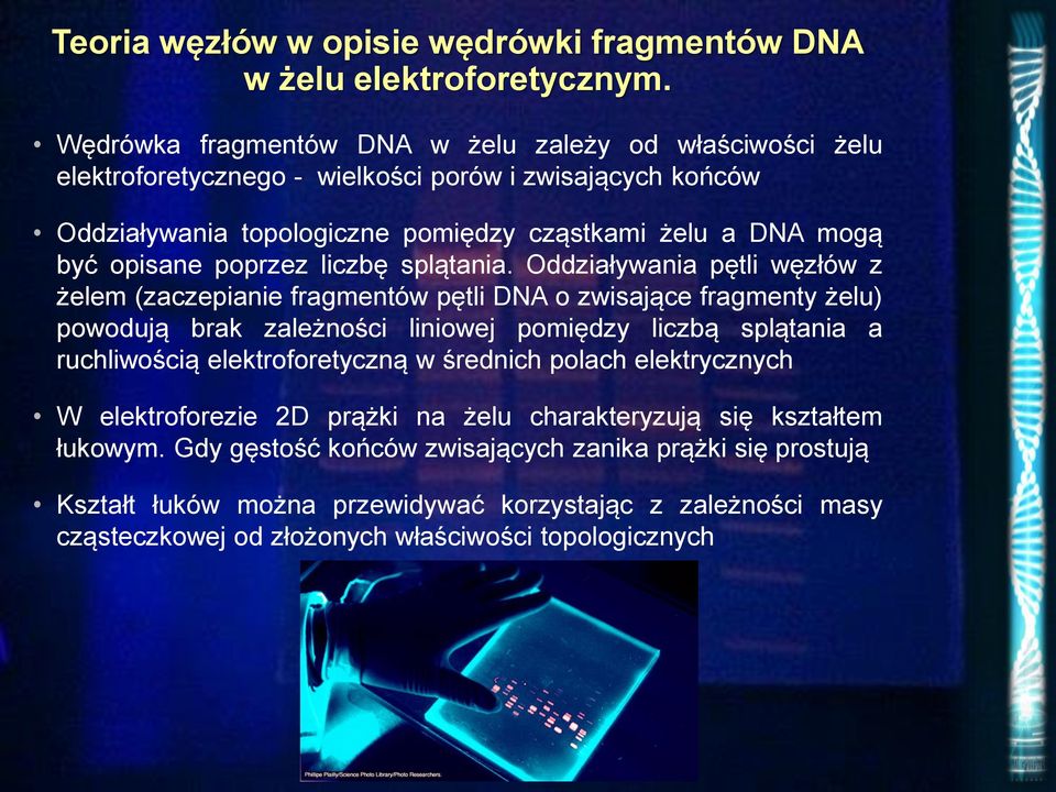 opisane poprzez liczbę splątania.