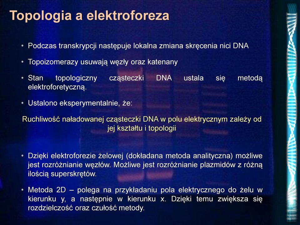 Ustalono eksperymentalnie, że: Ruchliwość naładowanej cząsteczki DNA w polu elektrycznym zależy od jej kształtu i topologii Dzięki elektroforezie żelowej