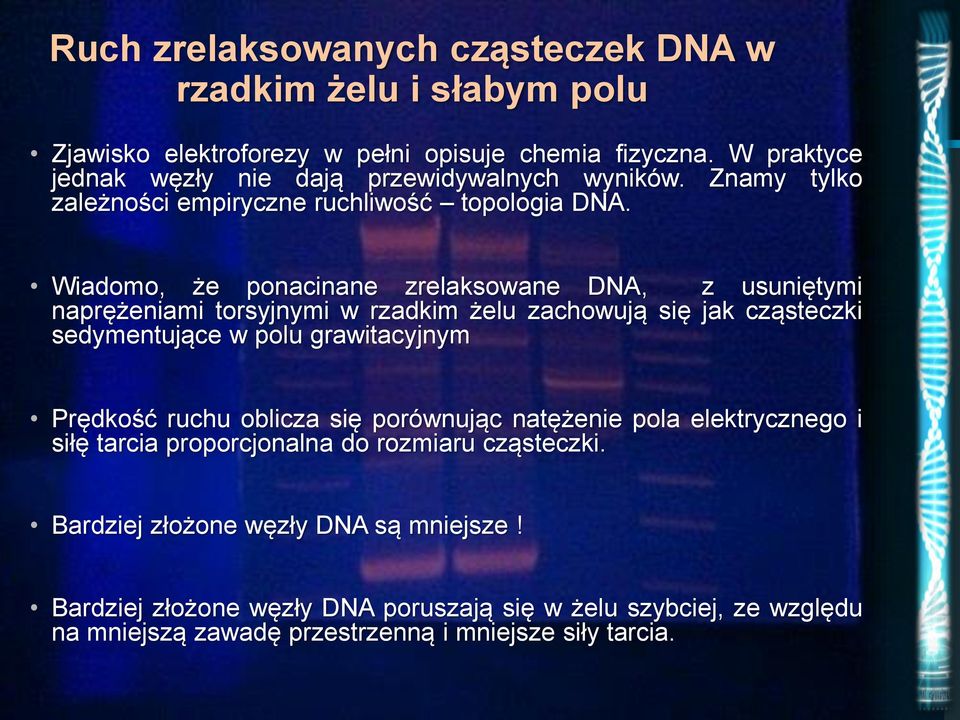 Wiadomo, że ponacinane zrelaksowane DNA, z usuniętymi naprężeniami torsyjnymi w rzadkim żelu zachowują się jak cząsteczki sedymentujące w polu grawitacyjnym Prędkość