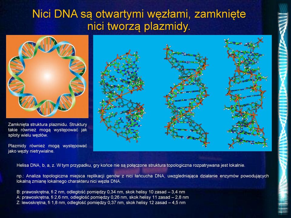 : Analiza topologiczna miejsca replikacji genów z nici łańcucha DNA, uwzgledniająca działanie enzymów powodujących lokalną zmianę lokalnego charakteru nici węzła DNA.
