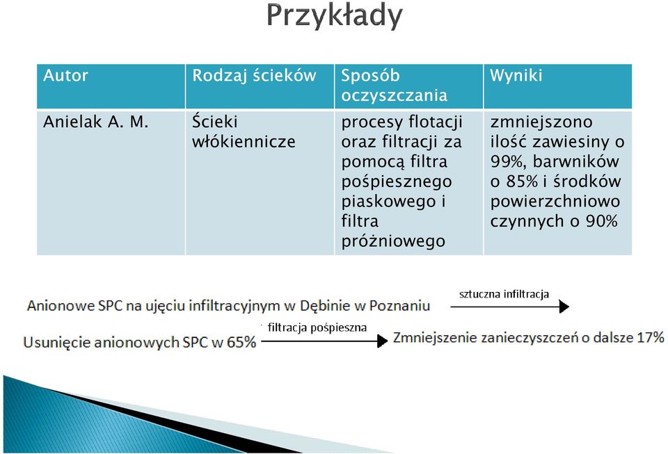 filtra pośpiesznego piaskowego i filtra próżniowego Wyniki