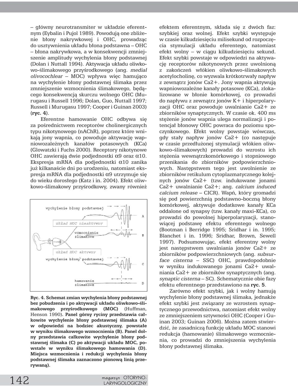 Nuttall 1994). Aktywacja uk adu oliwkowo-êlimakowego przyêrodkowego (ang.