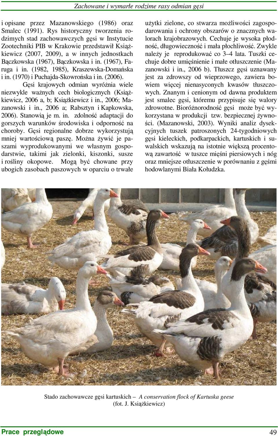 (1967), Faruga i in. (1982, 1985), Kraszewska-Domańska i in. (1970) i Puchajda-Skowrońska i in. (2006).