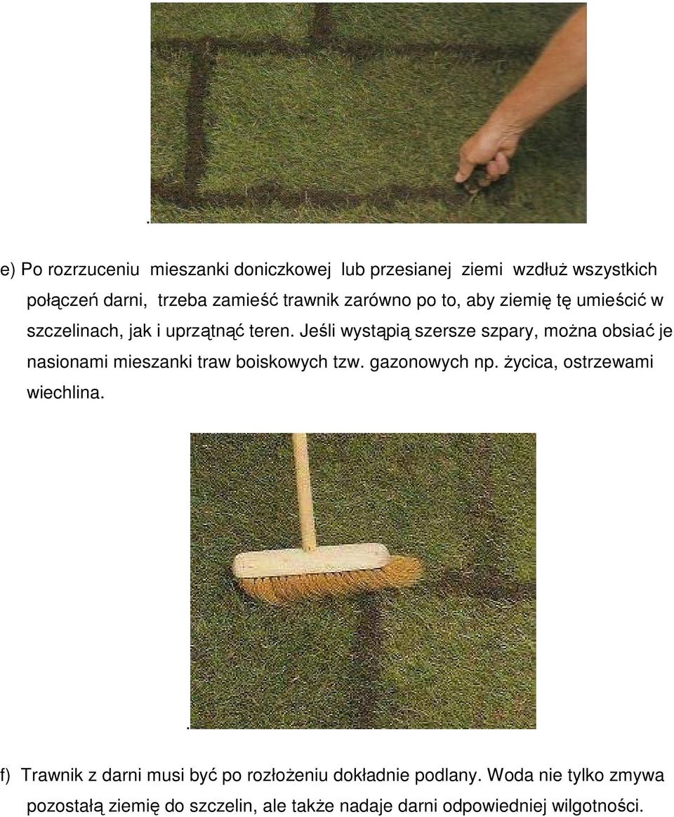 Jeśli wystąpią szersze szpary, moŝna obsiać je nasionami mieszanki traw boiskowych tzw. gazonowych np.