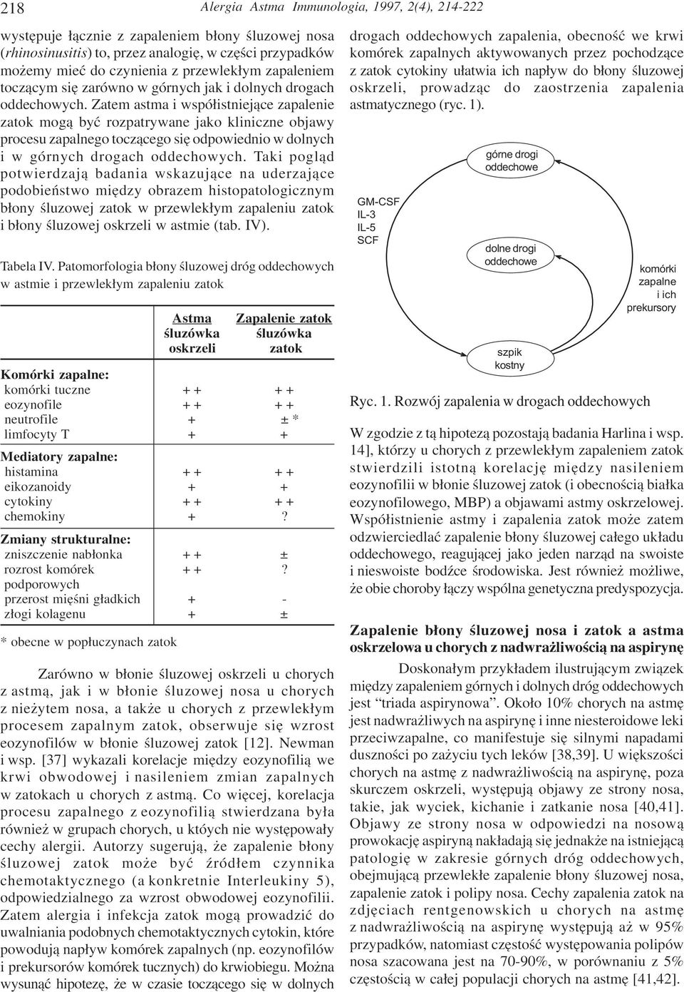 Zatem astma i wspó³istniej¹ce zapalenie zatok mog¹ byæ rozpatrywane jako kliniczne objawy procesu zapalnego tocz¹cego siê odpowiednio w dolnych i w górnych drogach oddechowych.