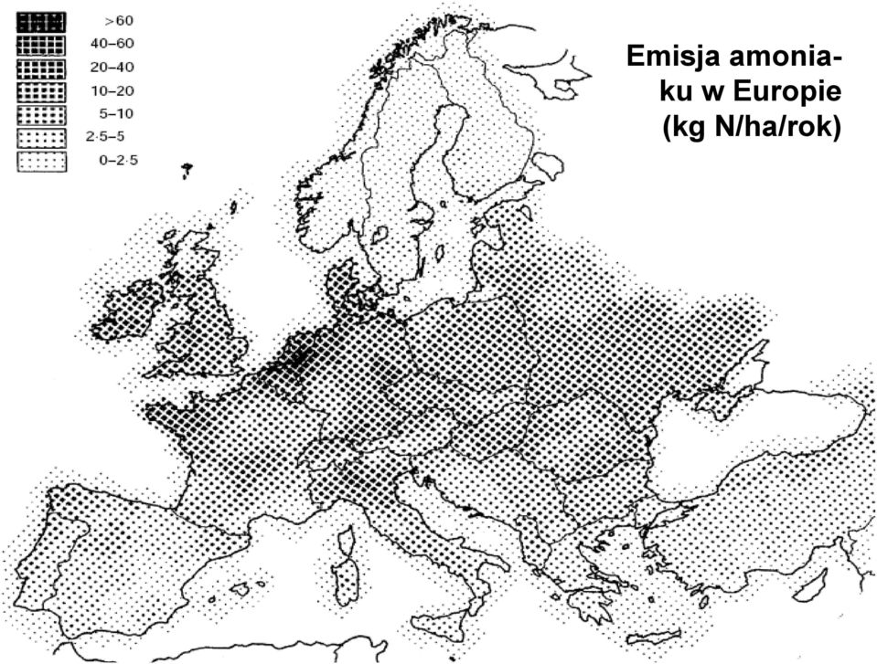 w Europie