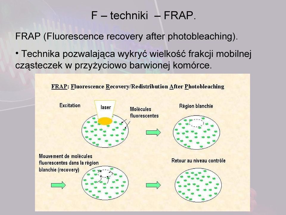 photobleaching).