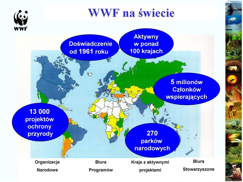 ochrony przyrody 270 parków narodowych Organizacje Narodowe Biura