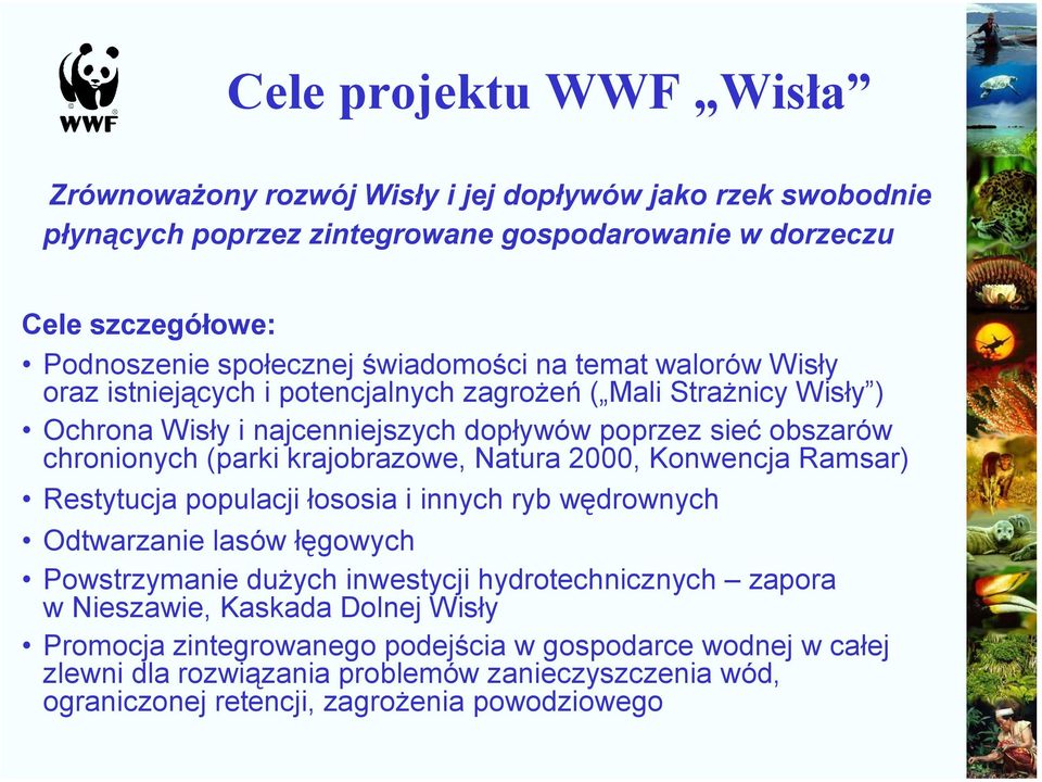 krajobrazowe, Natura 2000, Konwencja Ramsar) Restytucja populacji łososia i innych ryb wędrownych Odtwarzanie lasów łęgowych Powstrzymanie dużych inwestycji hydrotechnicznych zapora w