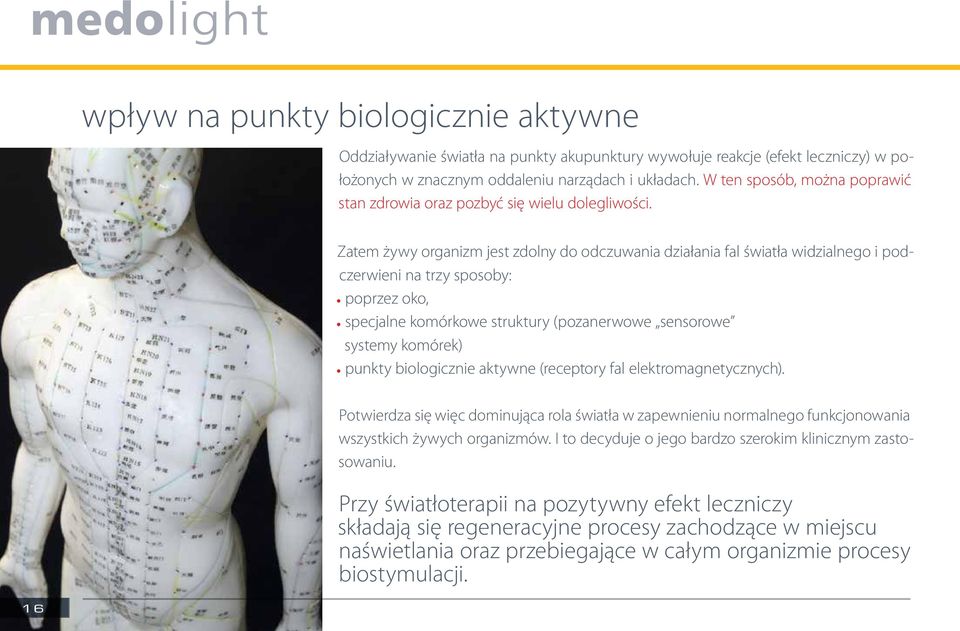 Zatem żywy organizm jest zdolny do odczuwania działania fal światła widzialnego i podczerwieni na trzy sposoby: poprzez oko, specjalne komórkowe struktury (pozanerwowe sensorowe systemy komórek)
