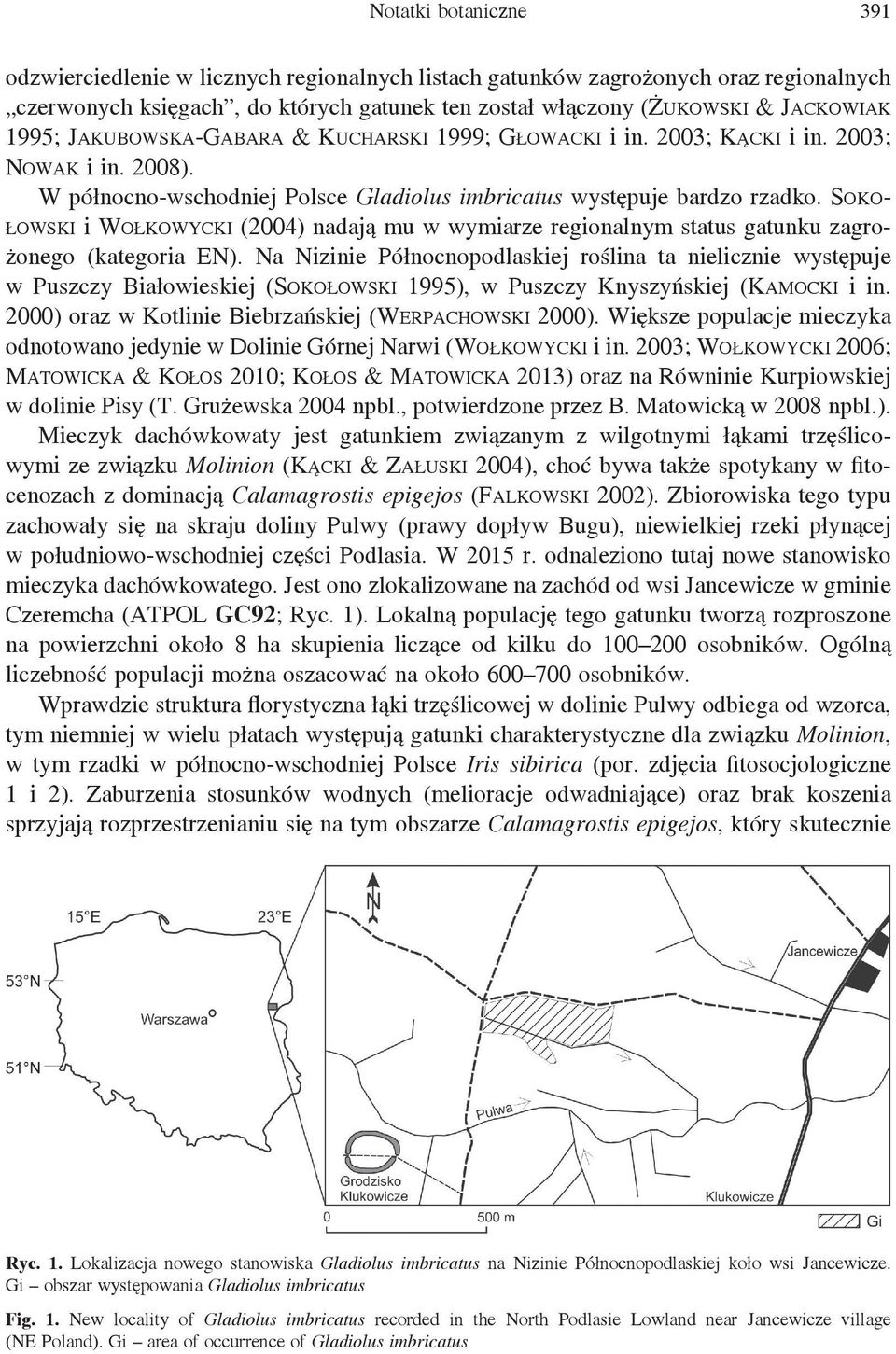 Sokołowski i Wołkowycki (2004) nadają mu w wymiarze regionalnym status gatunku zagrożonego (kategoria EN).