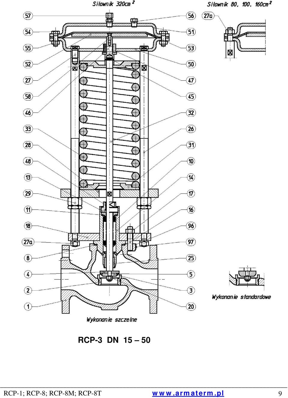 RCP-8;