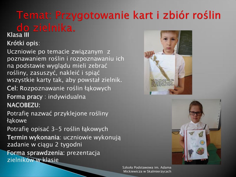 Cel: Rozpoznawanie roślin łąkowych Forma pracy : indywidualna NACOBEZU: Potrafię nazwać przyklejone rośliny łąkowe