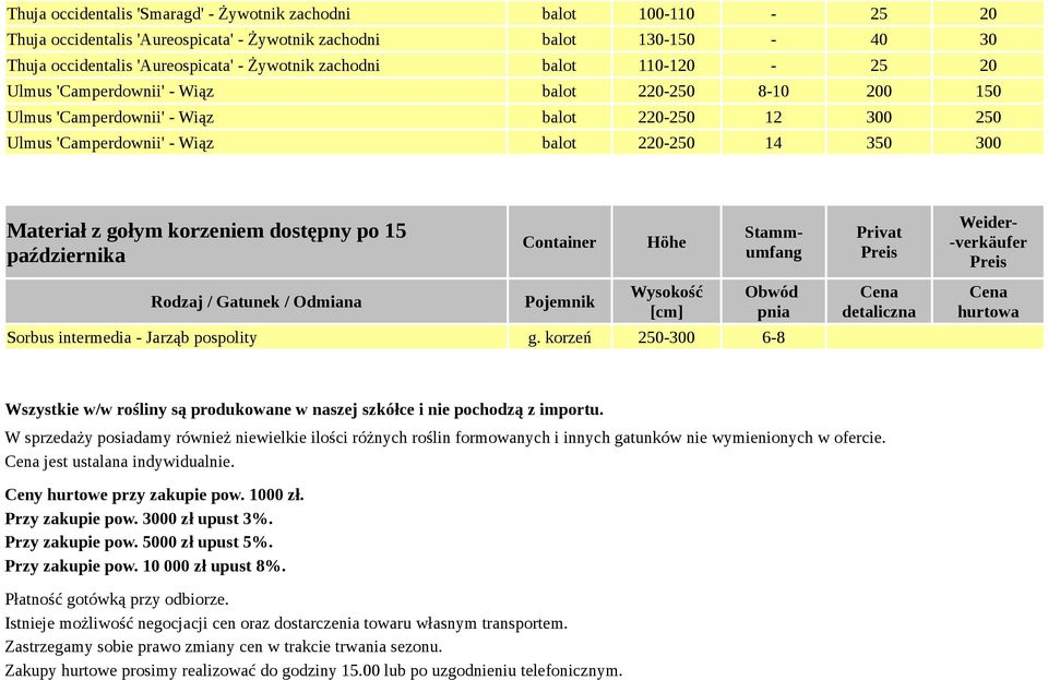 Materiał z gołym korzeniem dostępny po 15 października Container Höhe Sorbus intermedia - Jarząb pospolity g.