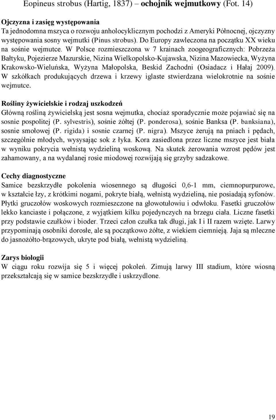 Do Europy zawleczona na początku XX wieku na sośnie wejmutce.