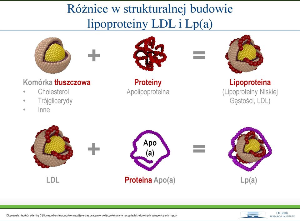 Inne Proteiny Apolipoproteina Lipoproteina