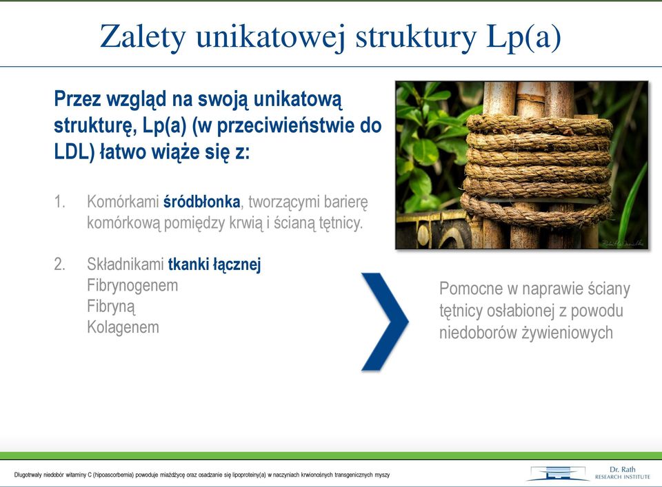 Komórkami śródbłonka, tworzącymi barierę komórkową pomiędzy krwią i ścianą tętnicy. 2.
