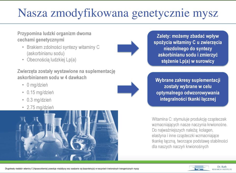75 mg/dzień Zalety: możemy zbadać wpływ spożycia witaminy C u zwierzęcia niezdolnego do syntezy askorbinianu sodu i zmierzyć stężenie Lp(a) w surowicy Wybrane zakresy suplementacji zostały wybrane