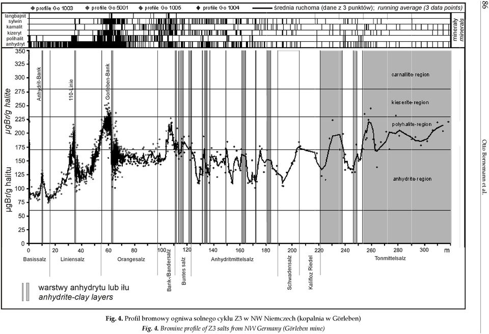 points) minerały minerals 86 Otto Bornemann et al.