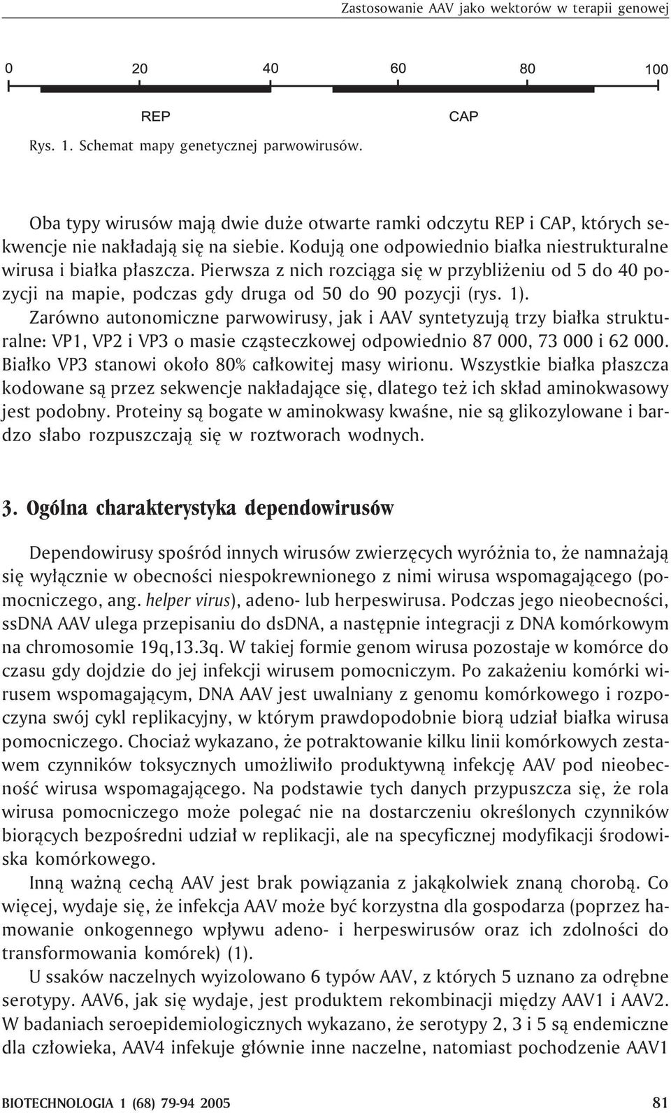 Pierwsza z nich rozci¹ga siê w przybli eniu od 5 do 40 pozycji na mapie, podczas gdy druga od 50 do 90 pozycji (rys. 1).