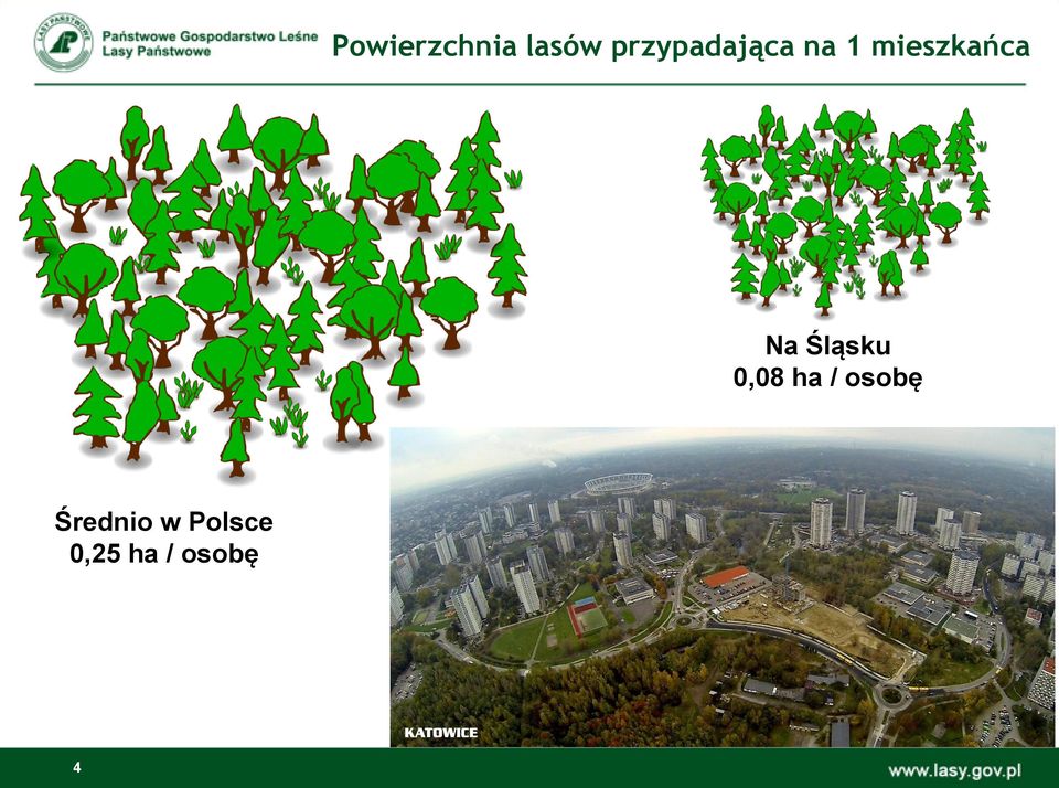 mieszkańca Na Śląsku 0,08