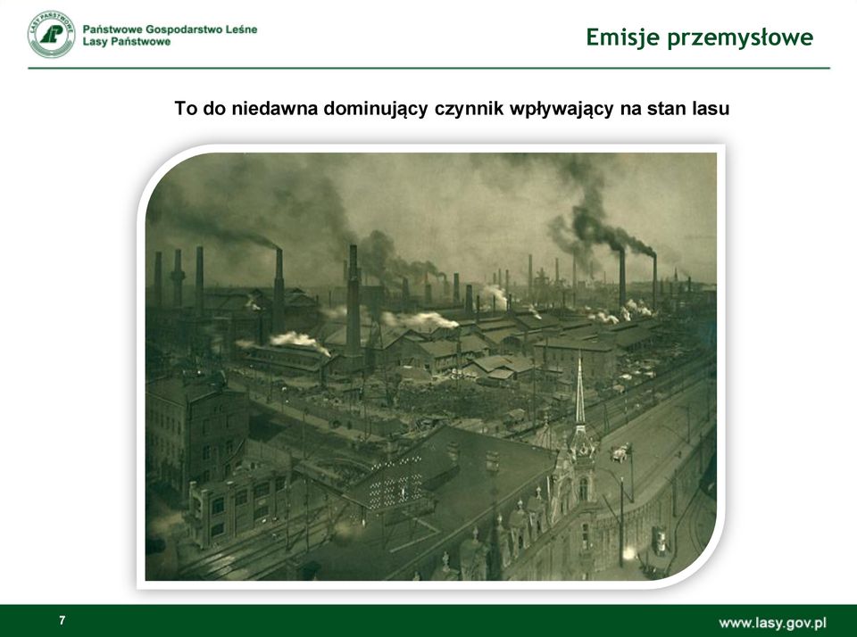 dominujący czynnik
