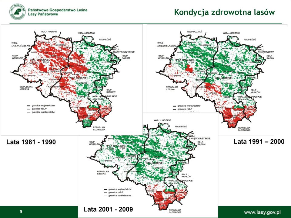 Lata 1981-1990